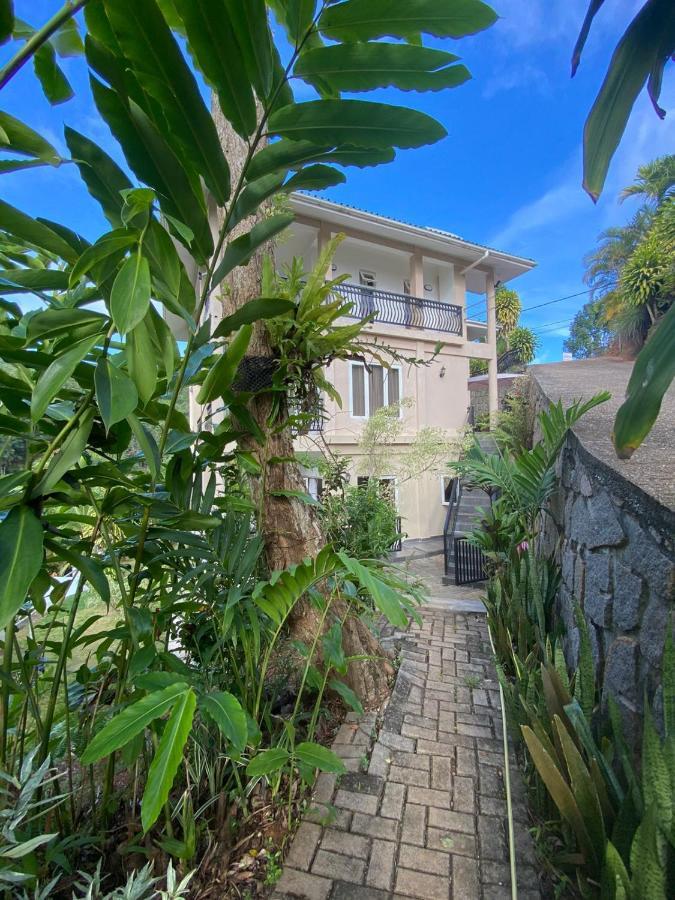South Hill Villa Anse Royale Buitenkant foto